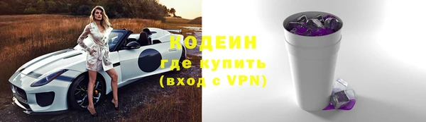 первитин Дмитриев