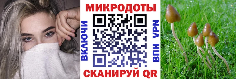 Купить где Пестово Галлюциногенные грибы Cubensis